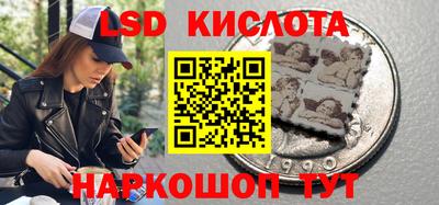 MDMA Гатчина