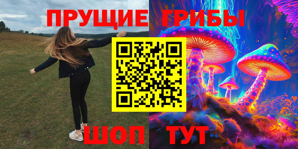 Гусь-Хрустальный  Галлюциногенные грибы Psilocybine cubensis  Вход с VPN  Псилоцибиновые грибы GOLDEN TEACHER 
